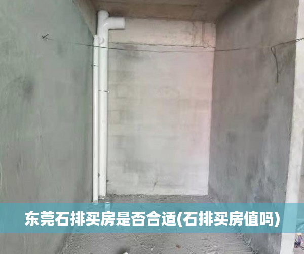 东莞石排买房是否合适(石排买房值吗) 东莞石排买房是否合适(石排买房值吗)