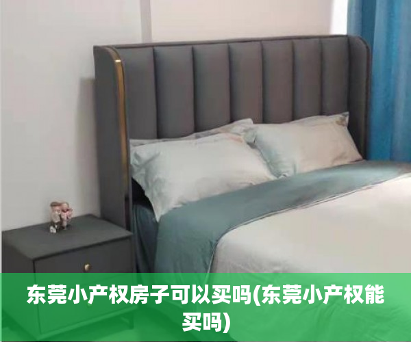 东莞小产权房子可以买吗(东莞小产权能买吗)