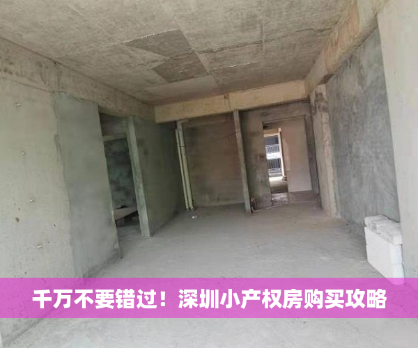 千万不要错过！深圳小产权房购买攻略