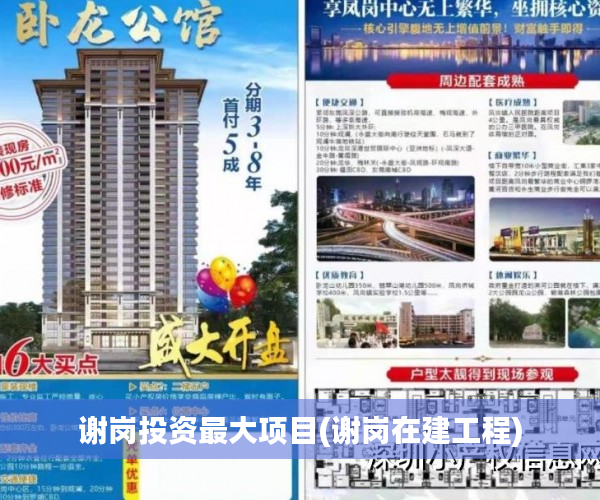 谢岗投资最大项目(谢岗在建工程) 谢岗投资最大项目(谢岗在建工程)
