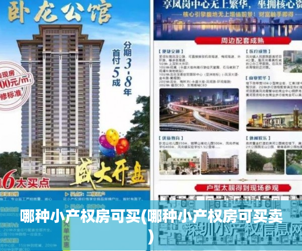 哪种小产权房可买(哪种小产权房可买卖) 哪种小产权房可买(哪种小产权房可买卖)