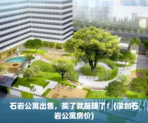 石岩公寓出售，买了就是赚了！(深圳石岩公寓房价)