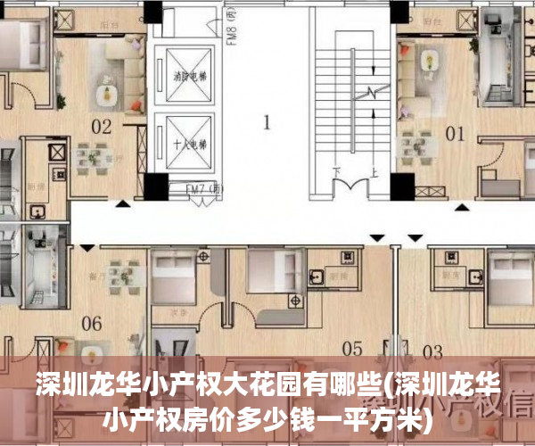 深圳龙华小产权大花园有哪些(深圳龙华小产权房价多少钱一平方米) 深圳龙华小产权大花园有哪些(深圳龙华小产权房价多少钱一平方米)