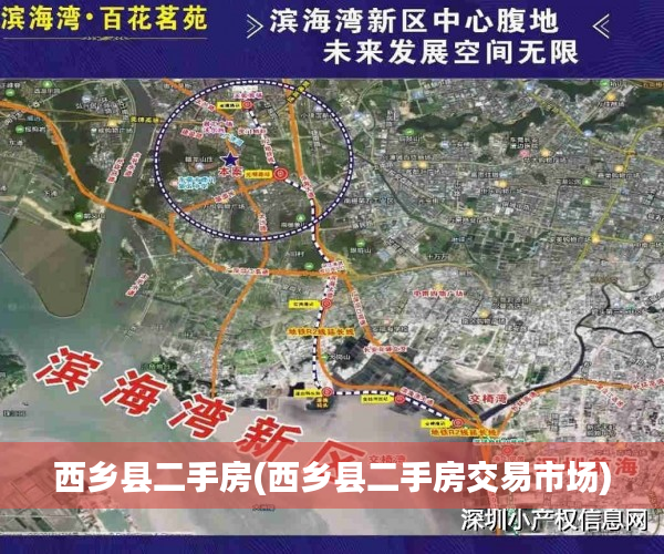 西乡县二手房(西乡县二手房交易市场)