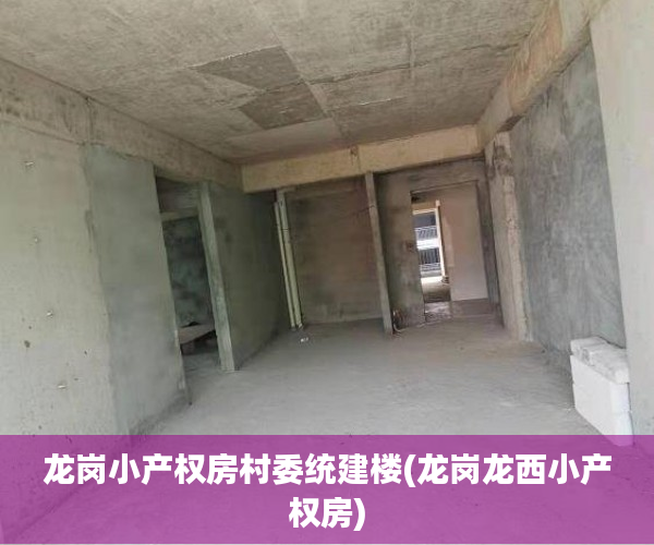 龙岗小产权房村委统建楼(龙岗龙西小产权房) 龙岗小产权房村委统建楼(龙岗龙西小产权房)