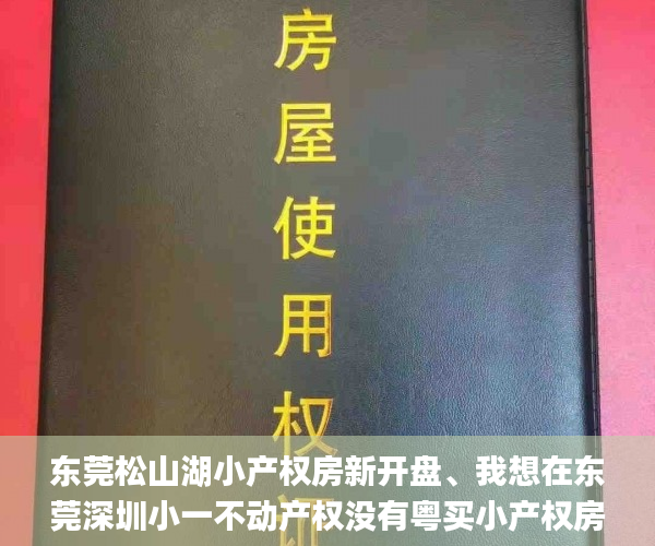 东莞松山湖小产权房新开盘、我想在东莞深圳小一不动产权没有粤买小产权房  微软_东莞松山湖小产权在售新盘