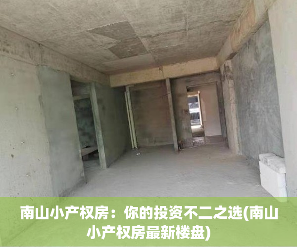 南山小产权房：你的投资不二之选(南山小产权房最新楼盘)