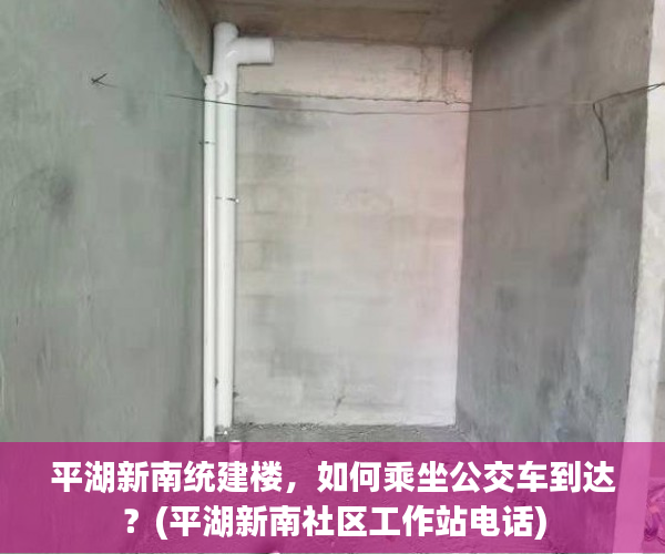 平湖新南统建楼，如何乘坐公交车到达？(平湖新南社区工作站电话)