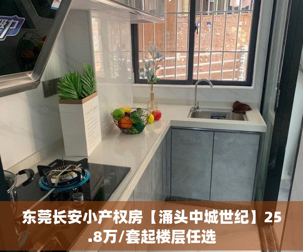 东莞长安小产权房【涌头中城世纪】25.8万/套起楼层任选