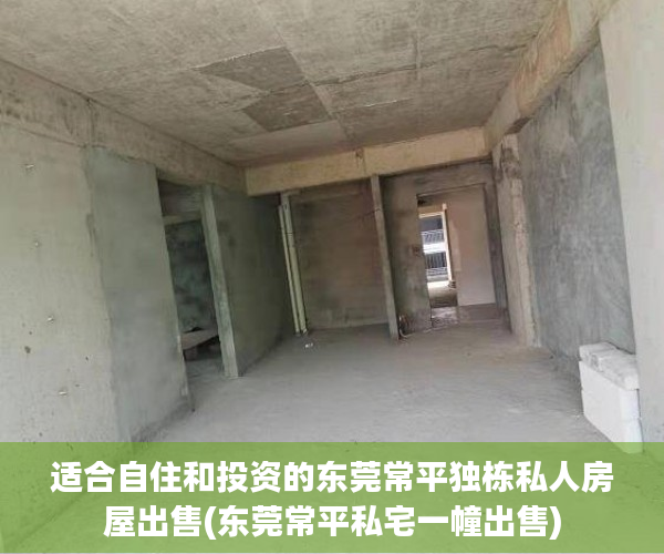 适合自住和投资的东莞常平独栋私人房屋出售(东莞常平私宅一幢出售)