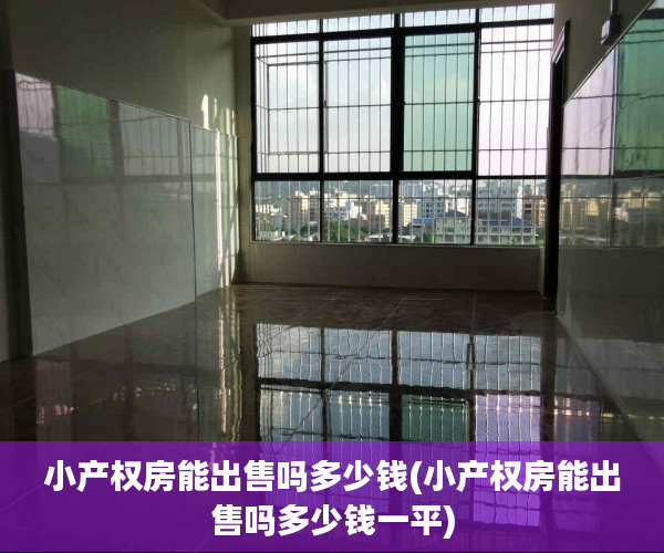 小产权房能出售吗多少钱(小产权房能出售吗多少钱一平) 小产权房能出售吗多少钱(小产权房能出售吗多少钱一平)