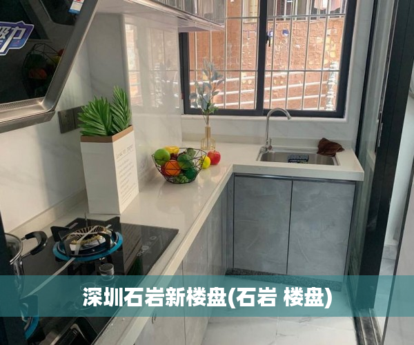 深圳石岩新楼盘(石岩 楼盘) 深圳石岩新楼盘(石岩 楼盘)