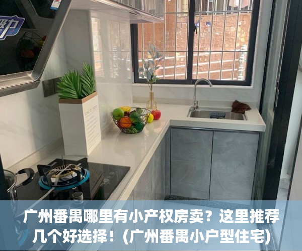 广州番禺哪里有小产权房卖？这里推荐几个好选择！(广州番禺小户型住宅)