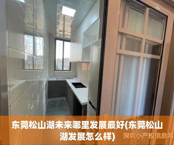 东莞松山湖未来哪里发展最好(东莞松山湖发展怎么样)