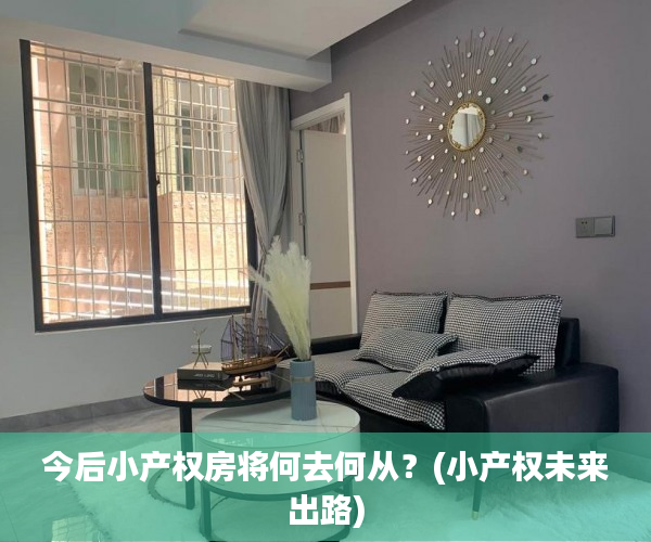 今后小产权房将何去何从？(小产权未来出路)