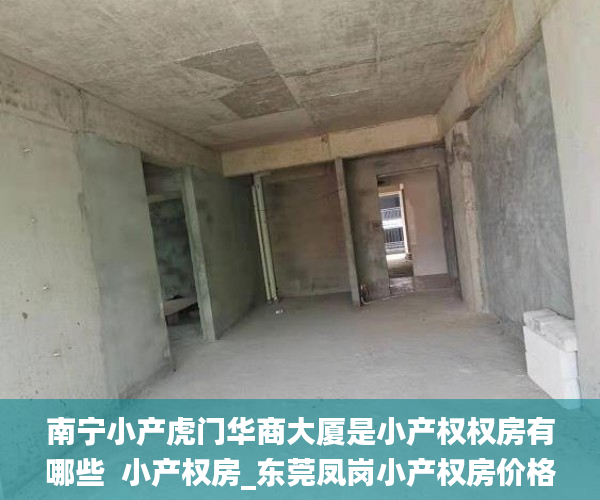 南宁小产虎门华商大厦是小产权权房有哪些  小产权房_东莞凤岗小产权房价格