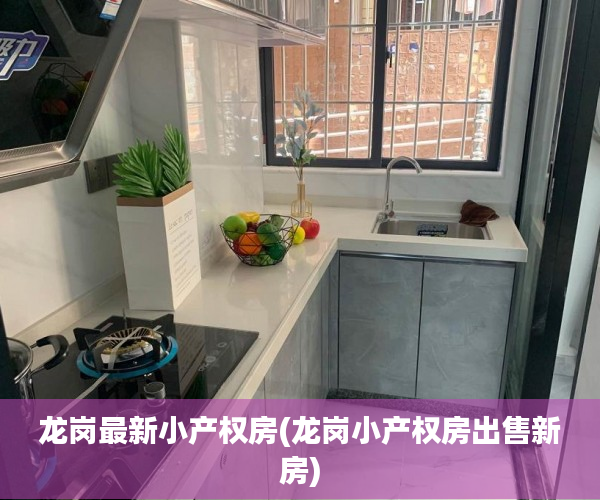 龙岗最新小产权房(龙岗小产权房出售新房)