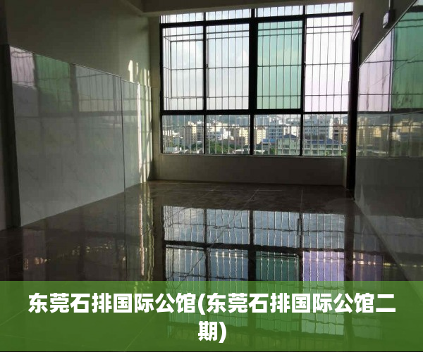 东莞石排国际公馆(东莞石排国际公馆二期)
