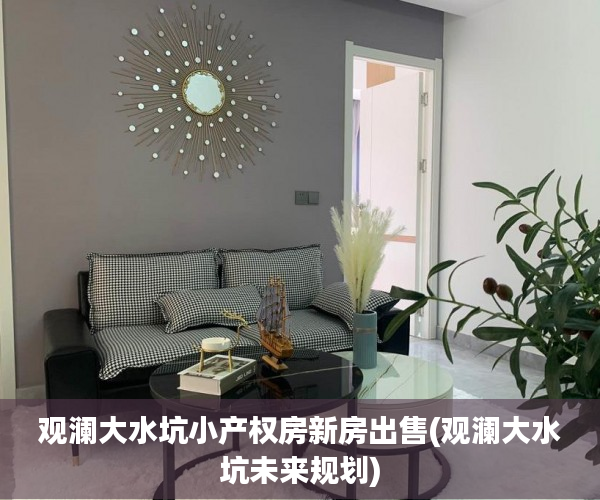 观澜大水坑小产权房新房出售(观澜大水坑未来规划)