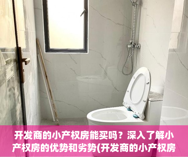 开发商的小产权房能买吗？深入了解小产权房的优势和劣势(开发商的小产权房应该要办什么手续)