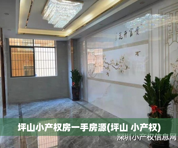 坪山小产权房一手房源(坪山 小产权) 坪山小产权房一手房源(坪山 小产权)