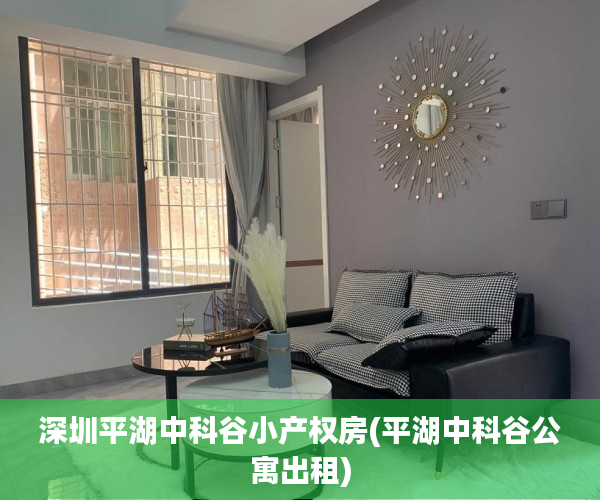 深圳平湖中科谷小产权房(平湖中科谷公寓出租) 深圳平湖中科谷小产权房(平湖中科谷公寓出租)