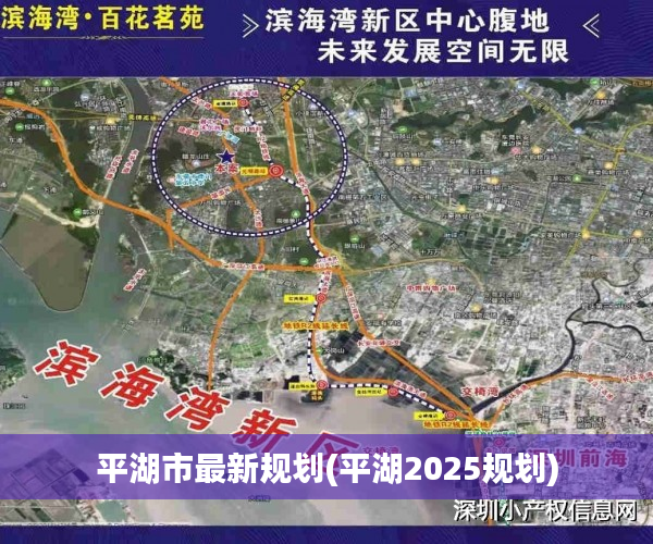 平湖市最新规划(平湖2025规划)