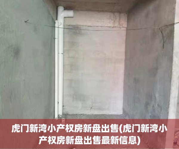 虎门新湾小产权房新盘出售(虎门新湾小产权房新盘出售最新信息)