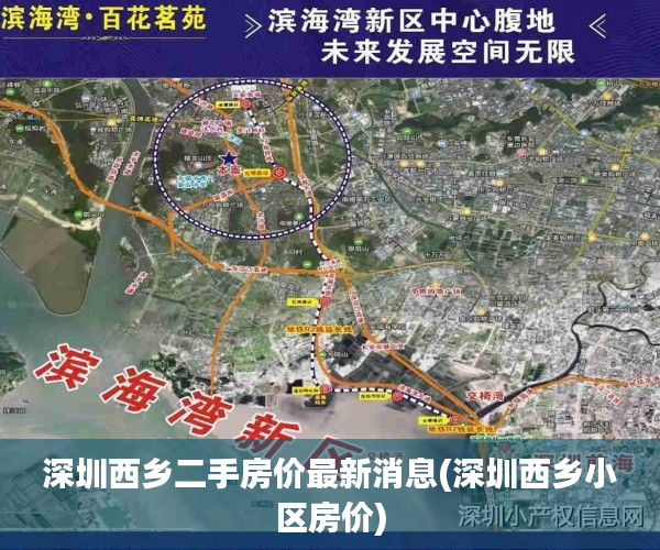 深圳西乡二手房价最新消息(深圳西乡小区房价) 深圳西乡二手房价最新消息(深圳西乡小区房价)