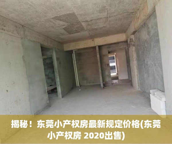 揭秘！东莞小产权房最新规定价格(东莞小产权房 2020出售)