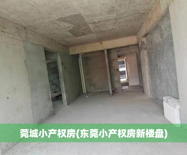 莞城小产权房(东莞小产权房新楼盘) 莞城小产权房(东莞小产权房新楼盘)
