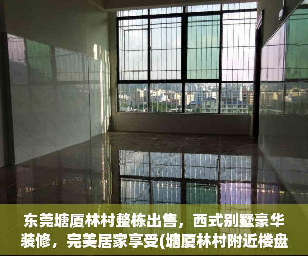 东莞塘厦林村整栋出售，西式别墅豪华装修，完美居家享受(塘厦林村附近楼盘)