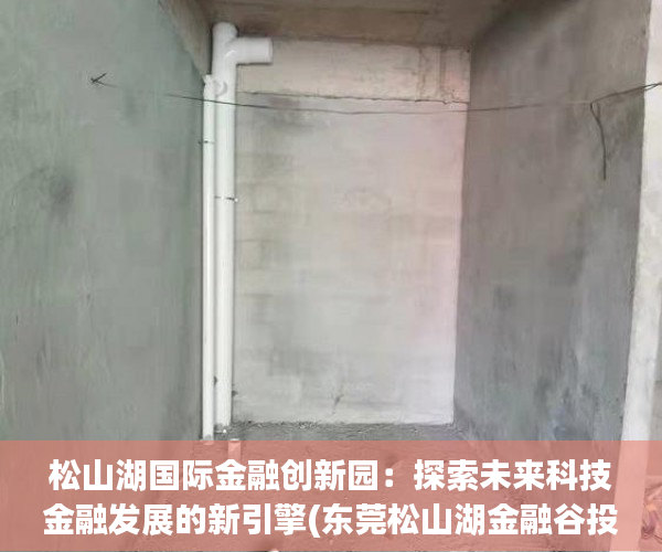 松山湖国际金融创新园：探索未来科技金融发展的新引擎(东莞松山湖金融谷投资有限公司)