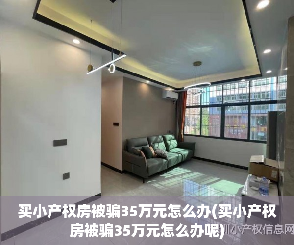 买小产权房被骗35万元怎么办(买小产权房被骗35万元怎么办呢)