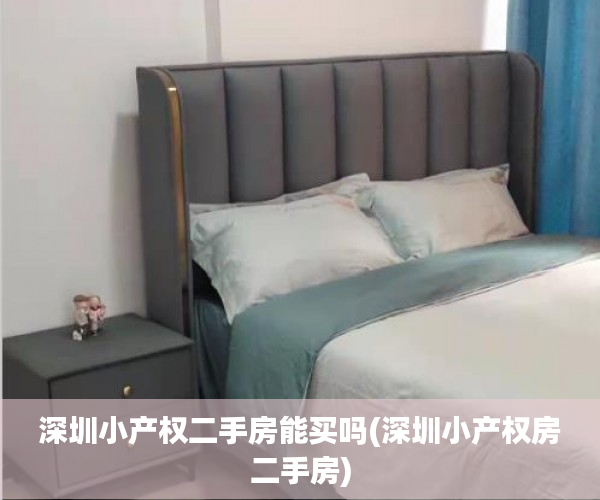 深圳小产权二手房能买吗(深圳小产权房二手房) 深圳小产权二手房能买吗(深圳小产权房二手房)