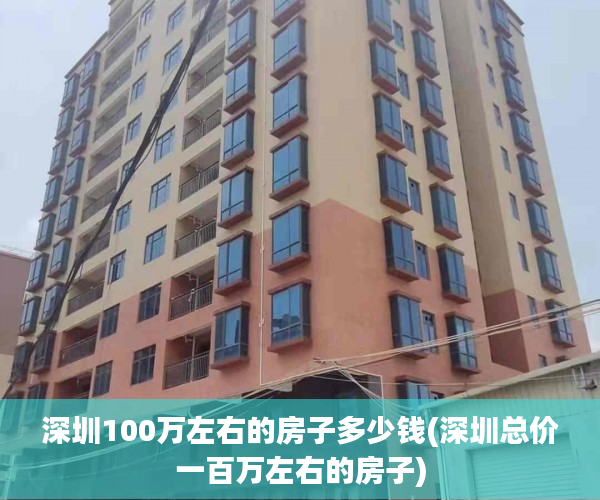 深圳100万左右的房子多少钱(深圳总价一百万左右的房子)