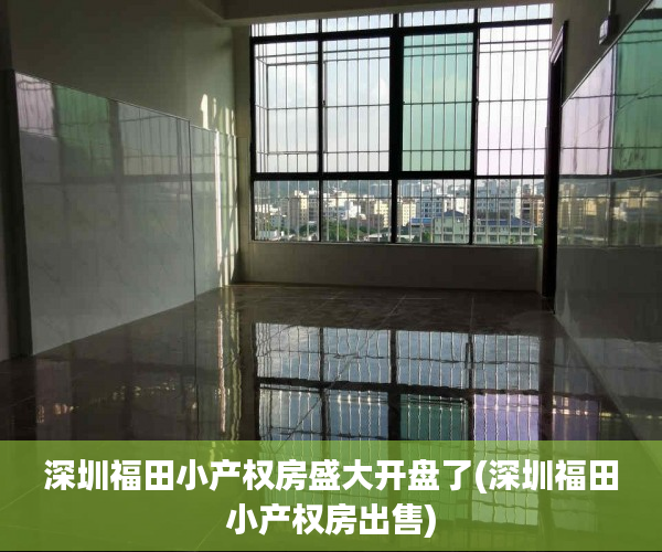 深圳福田小产权房盛大开盘了(深圳福田小产权房出售) 深圳福田小产权房盛大开盘了(深圳福田小产权房出售)