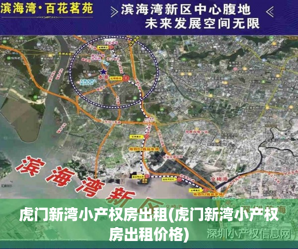 虎门新湾小产权房出租(虎门新湾小产权房出租价格)