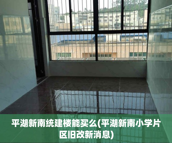 平湖新南统建楼能买么(平湖新南小学片区旧改新消息)