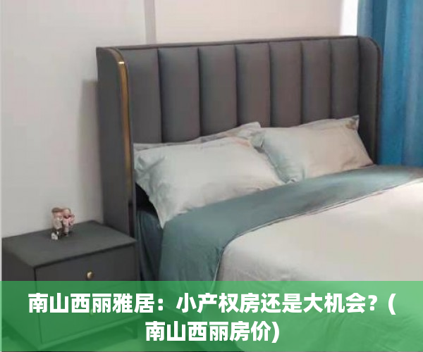 南山西丽雅居：小产权房还是大机会？(南山西丽房价)