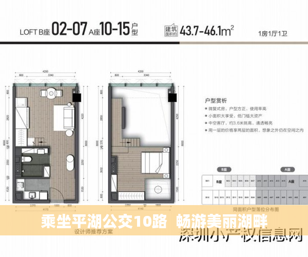 乘坐平湖公交10路  畅游美丽湖畔