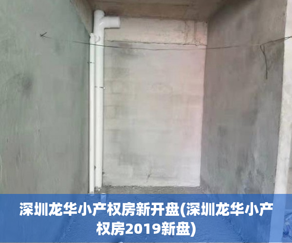 深圳龙华小产权房新开盘(深圳龙华小产权房2019新盘) 深圳龙华小产权房新开盘(深圳龙华小产权房2019新盘)