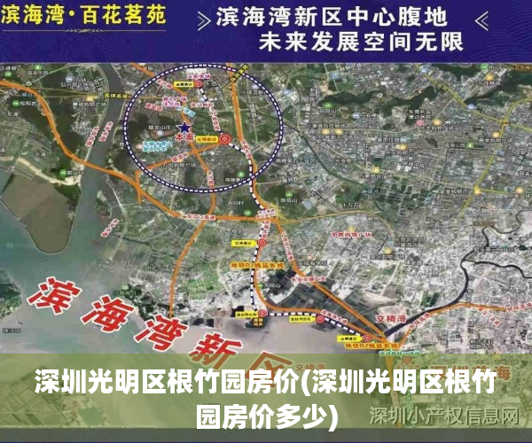 深圳光明区根竹园房价(深圳光明区根竹园房价多少)