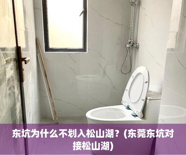 东坑为什么不划入松山湖？(东莞东坑对接松山湖)