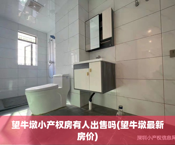 望牛墩小产权房有人出售吗(望牛墩最新房价) 望牛墩小产权房有人出售吗(望牛墩最新房价)
