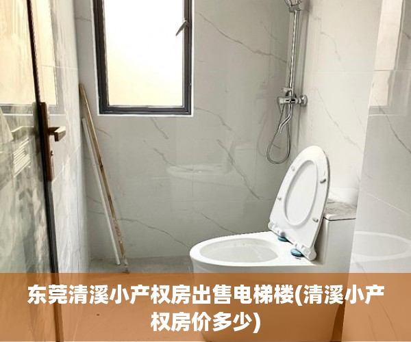 东莞清溪小产权房出售电梯楼(清溪小产权房价多少) 东莞清溪小产权房出售电梯楼(清溪小产权房价多少)