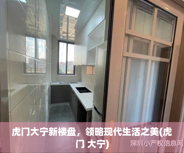 虎门大宁新楼盘，领略现代生活之美(虎门 大宁)