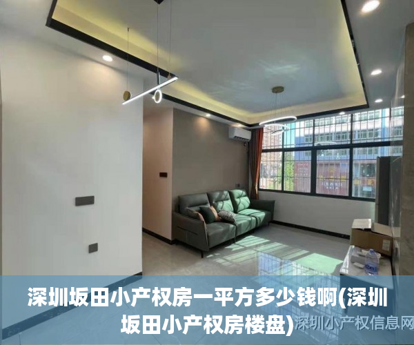深圳坂田小产权房一平方多少钱啊(深圳坂田小产权房楼盘) 深圳坂田小产权房一平方多少钱啊(深圳坂田小产权房楼盘)