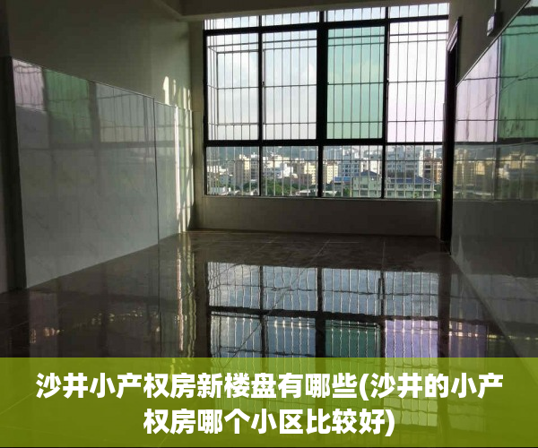 沙井小产权房新楼盘有哪些(沙井的小产权房哪个小区比较好) 沙井小产权房新楼盘有哪些(沙井的小产权房哪个小区比较好)
