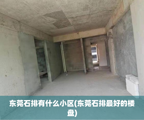 东莞石排有什么小区(东莞石排最好的楼盘) 东莞石排有什么小区(东莞石排最好的楼盘)